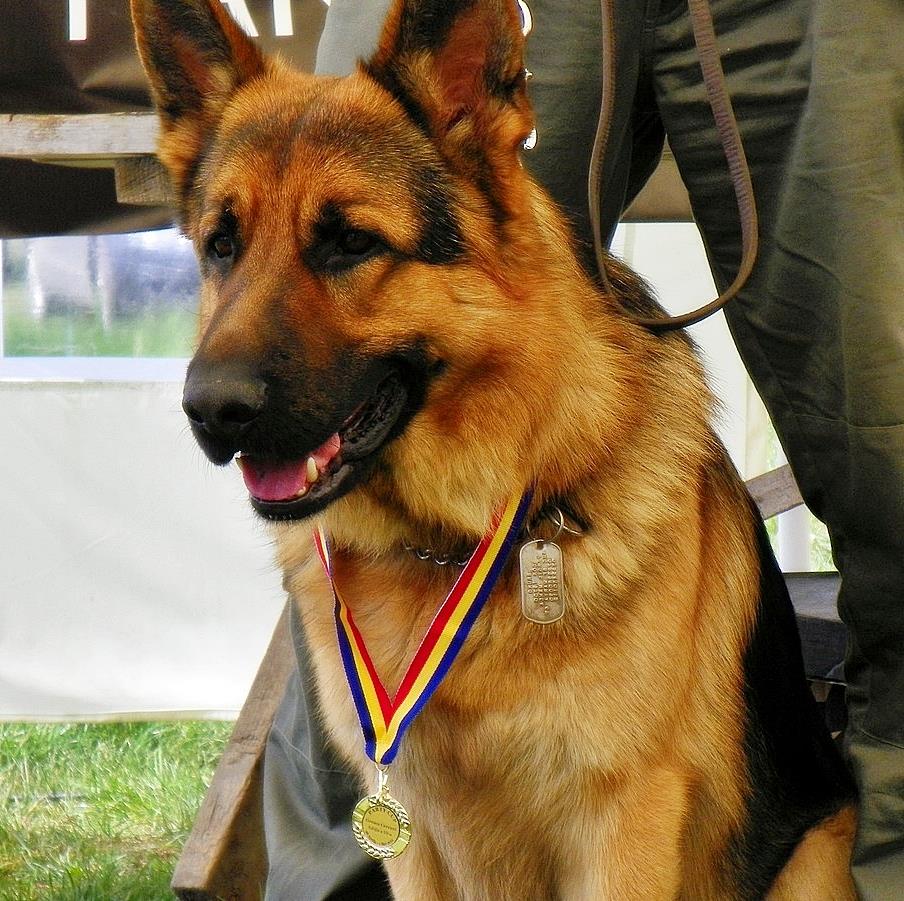 Party Cup 2011 (4) - 1000361.jpg